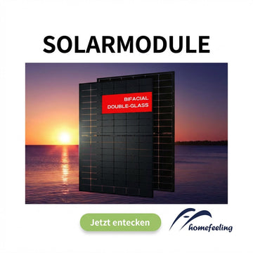 Solarmodule