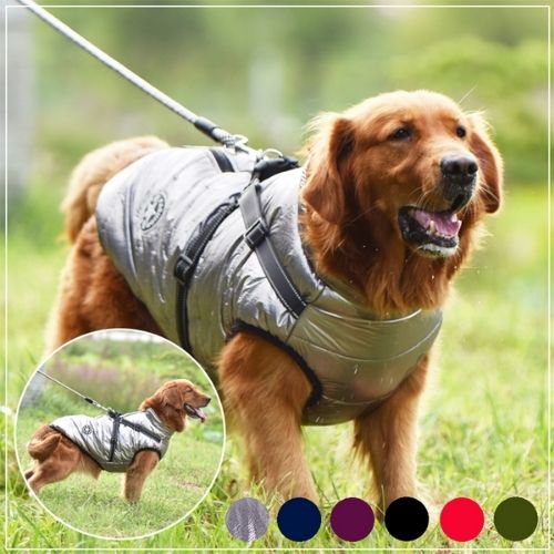 Wasserfeste Hundegeschirr-Jacke