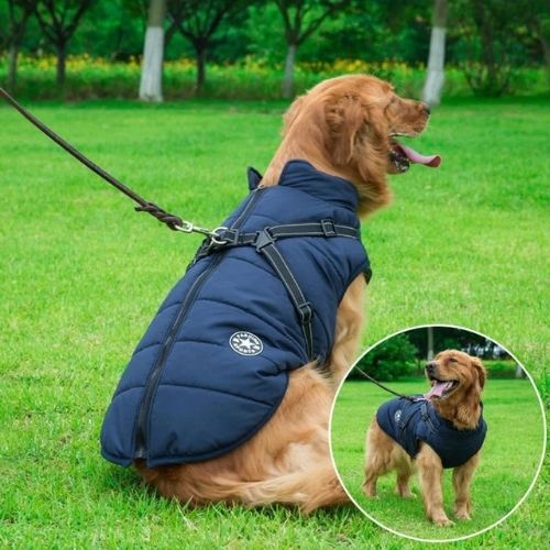 Wasserfeste Hundegeschirr-Jacke