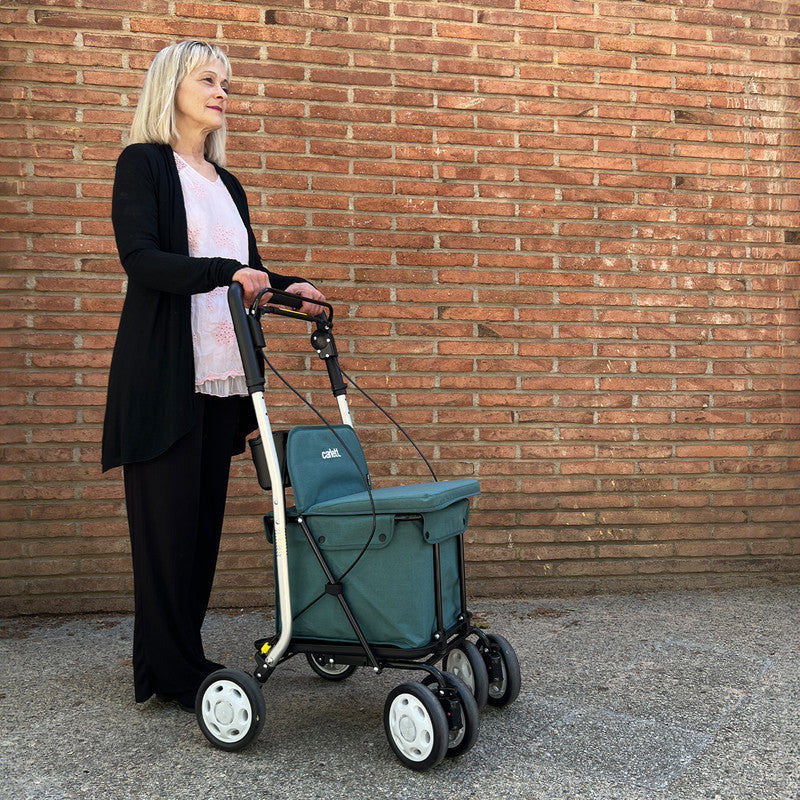 Einkaufswagen mit Sitz – Rollator Einkaufstrolley 36 L faltbar bis 125 kg belastbar,  Einkaufshilfe blau-grün